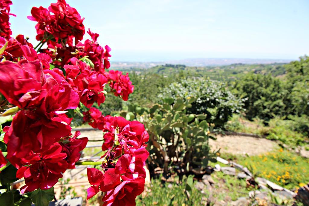 Villa Bellavista Etna Mascali Exterior foto